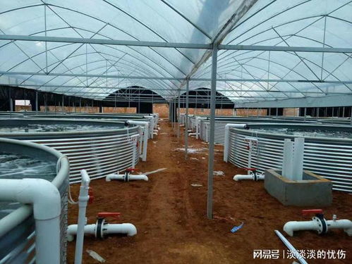 携手长辰渔业 探索工厂化养殖的变革之路与核心技术发展