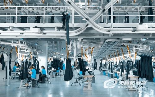 无锡实践 以技术开发驱动传统产业“老树发新芽”，培育新质生产力打造发展新优势