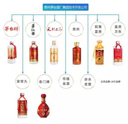 茅台酒品鉴与营销策略 技术开发赋能品牌新生态